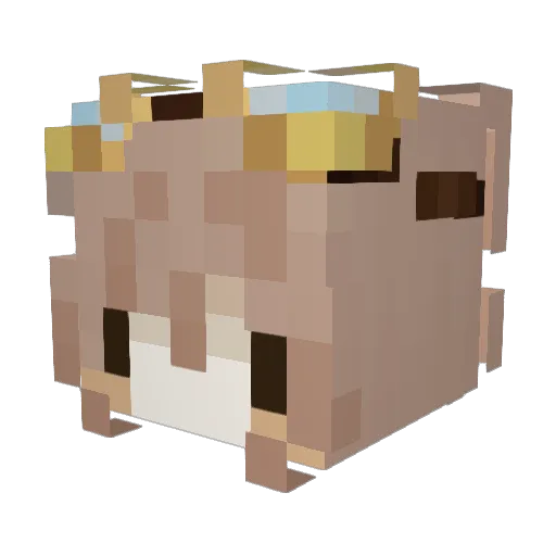 ukiiiii5 Minecraft avatar head, 3D render