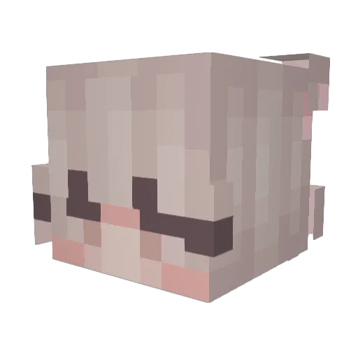 ulgy_nca Minecraft avatar head, 3D render