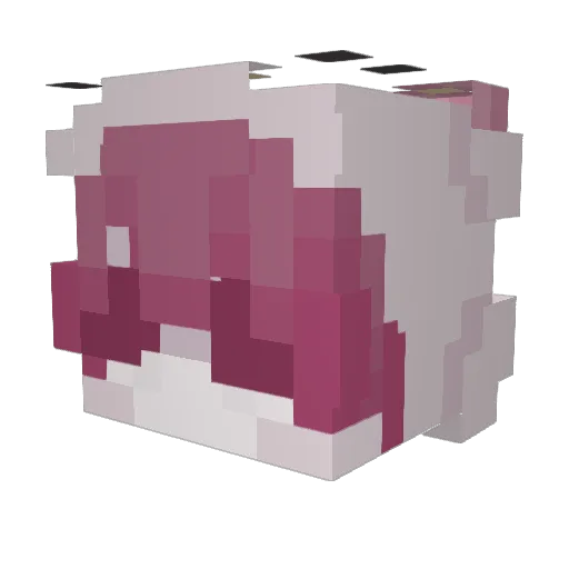 uliver11 Minecraft avatar head, 3D render