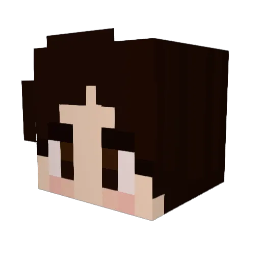 ultraAwesome Minecraft avatar head, 3D render