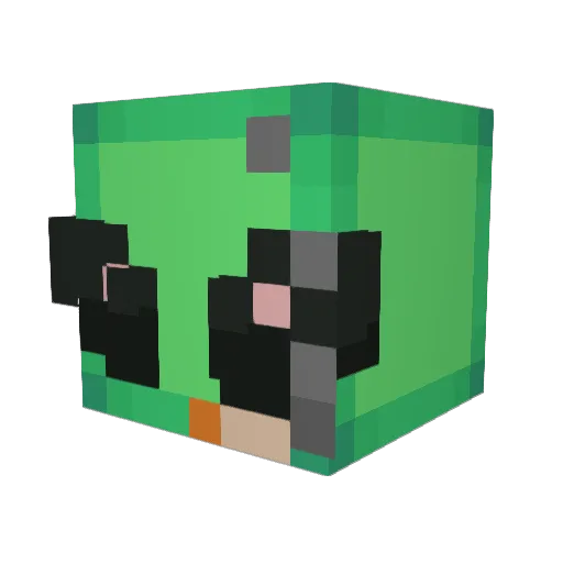 ultracoolguy420 Minecraft avatar head, 3D render