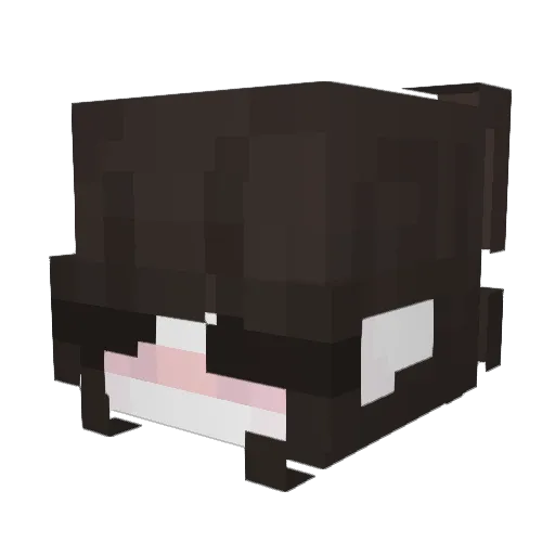 ultravyaali Minecraft avatar head, 3D render