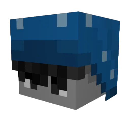 ulzibulzi Minecraft avatar head, 3D render