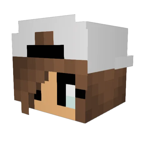 umbreon867 Minecraft avatar head, 3D render