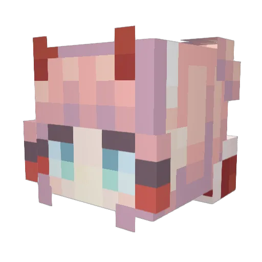 umi_fait_bon Minecraft avatar head, 3D render