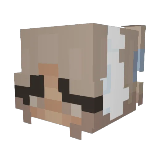 ummwtff Minecraft avatar head, 3D render
