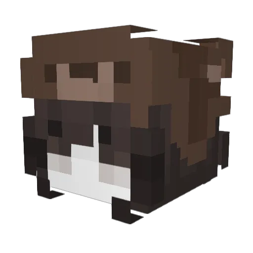umwa2012 Minecraft avatar head, 3D render