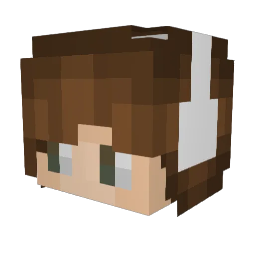 unchecks Minecraft avatar head, 3D render