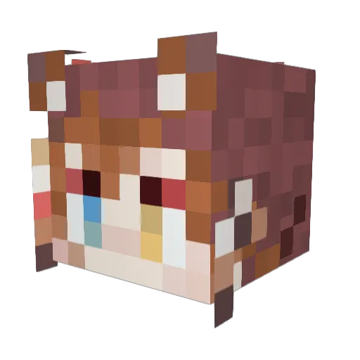 unclecat Minecraft avatar head, 3D render