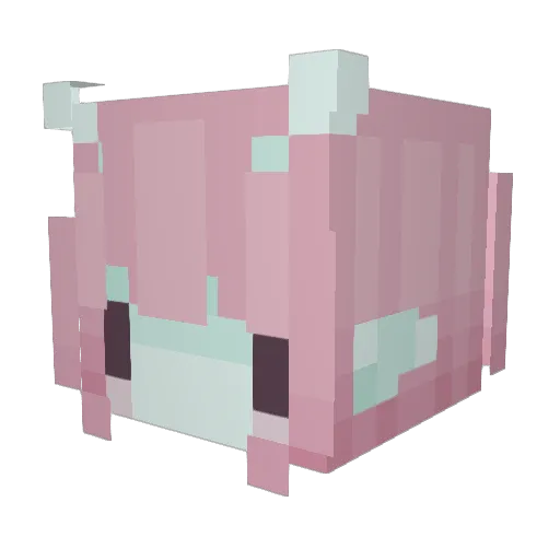 uncomfycats Minecraft avatar head, 3D render