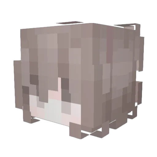 undFella Minecraft avatar head, 3D render