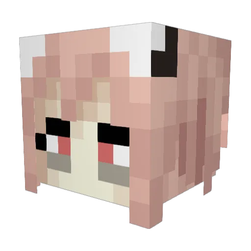 undeclared163 Minecraft avatar head, 3D render