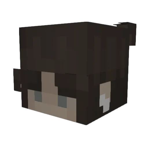 undercoverisn Minecraft avatar head, 3D render