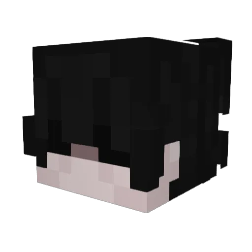 undershocker Minecraft avatar head, 3D render