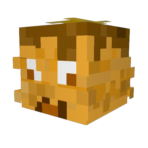 undertoe_drowner Minecraft avatar head, 3D render