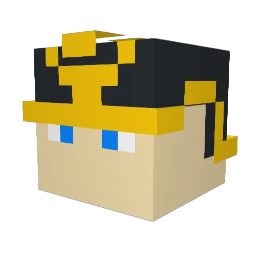 underusedmeme Minecraft avatar head, 3D render