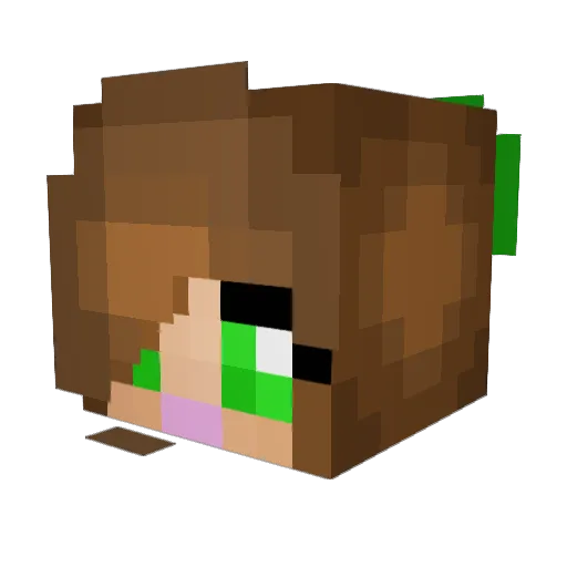 underwatermirror Minecraft avatar head, 3D render