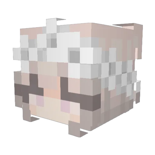 undoli Minecraft avatar head, 3D render
