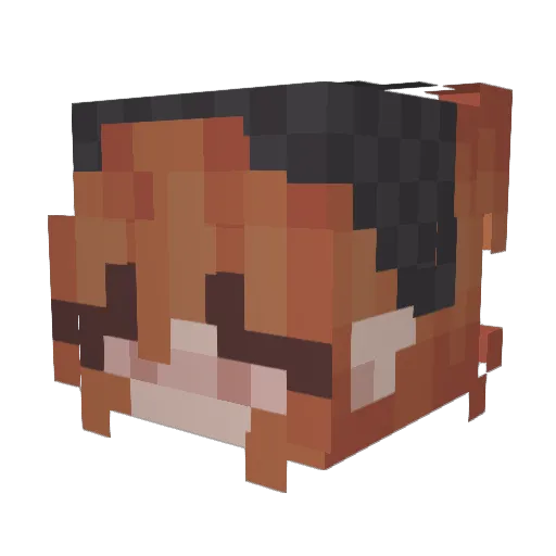 undrscorebeloved Minecraft avatar head, 3D render