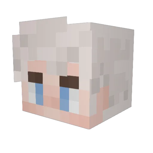 undyingUmbrages Minecraft avatar head, 3D render