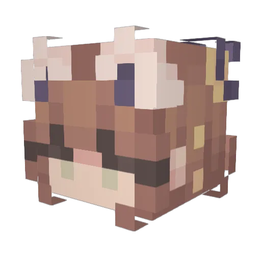undyingbob Minecraft avatar head, 3D render
