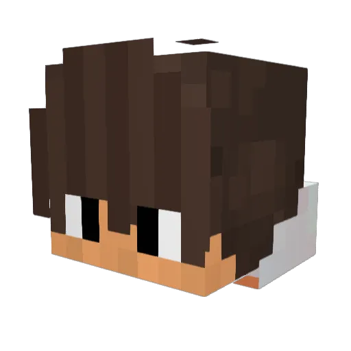 unerlebt Minecraft avatar head, 3D render