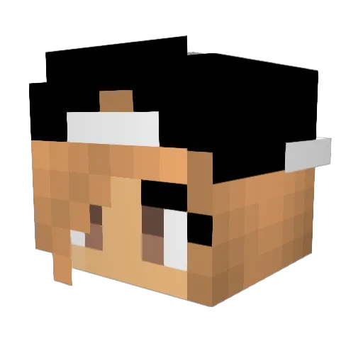 unfortunaite Minecraft avatar head, 3D render