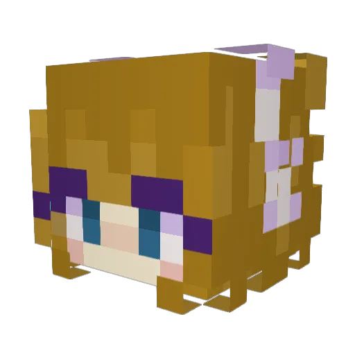 unfunfacts Minecraft avatar head, 3D render