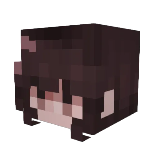 ungspritztsbier Minecraft avatar head, 3D render