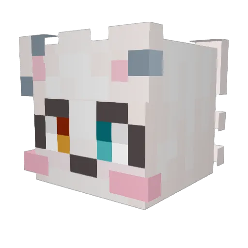 ungus_bungs Minecraft avatar head, 3D render