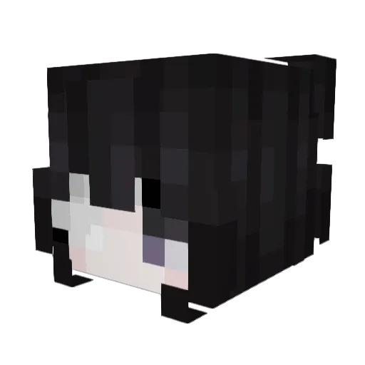 unhealedscars Minecraft avatar head, 3D render