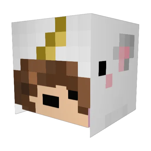 unicornchild123 Minecraft avatar head, 3D render