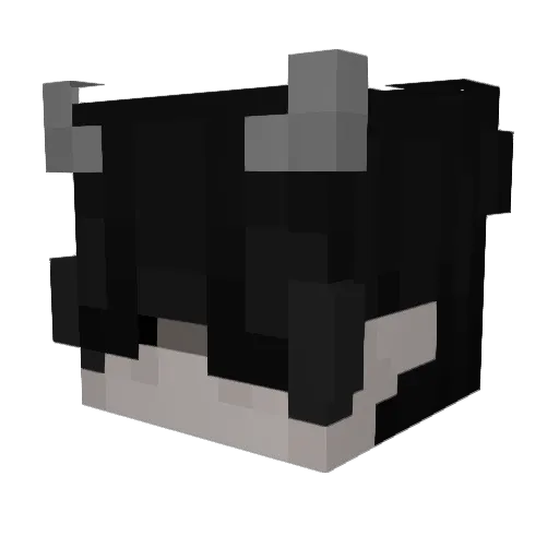 unicornguy2000 Minecraft avatar head, 3D render