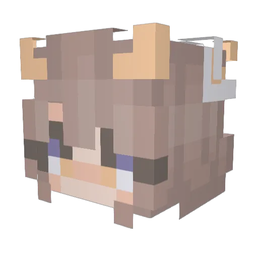 unicornlover212 Minecraft avatar head, 3D render