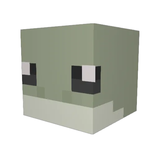 unicornlovesit Minecraft avatar head, 3D render