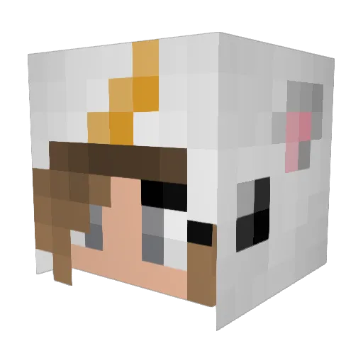 unicornsara Minecraft avatar head, 3D render