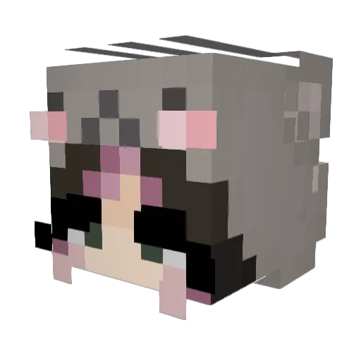 unicornteethx Minecraft avatar head, 3D render