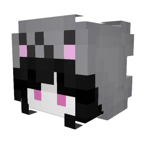 unicornxplayss Minecraft avatar head, 3D render