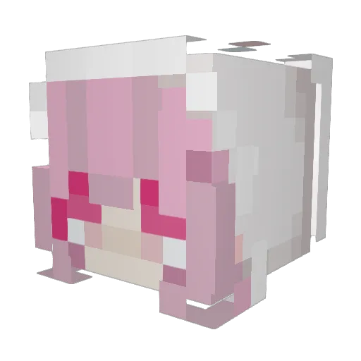 unigirl13 Minecraft avatar head, 3D render