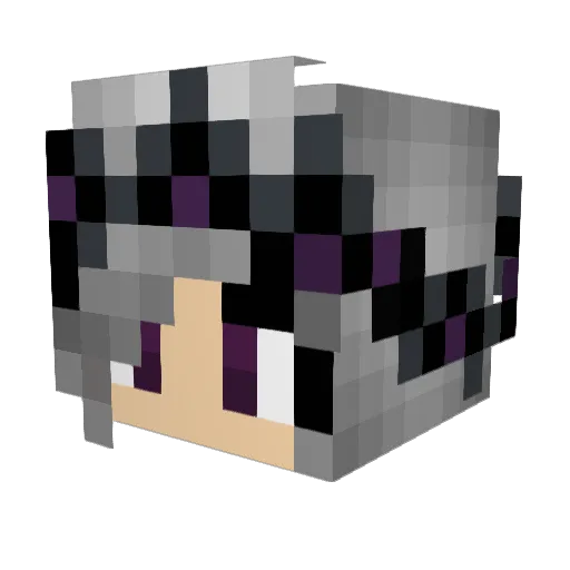 unimatrix34 Minecraft avatar head, 3D render