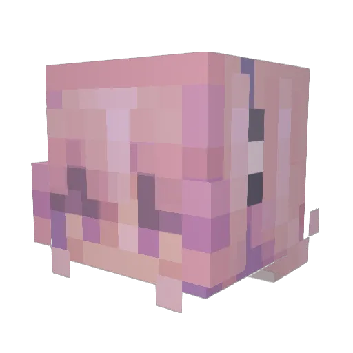 unioniser Minecraft avatar head, 3D render