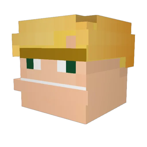 unit9495 Minecraft avatar head, 3D render