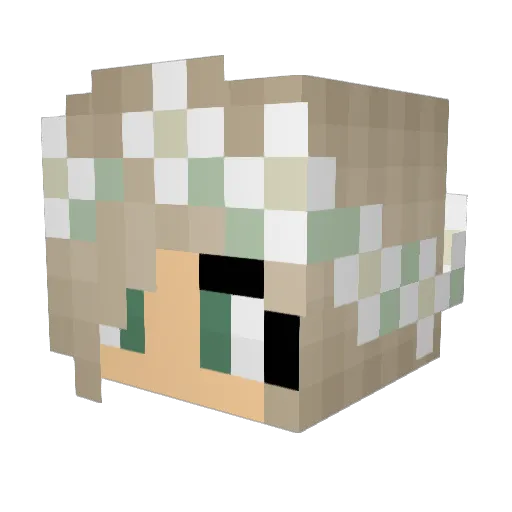unitato27 Minecraft avatar head, 3D render