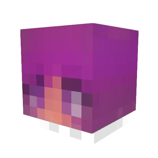 unkn0wnent Minecraft avatar head, 3D render