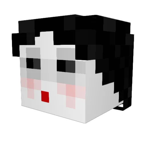 unknovvn1990 Minecraft avatar head, 3D render