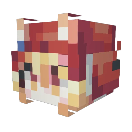 unknow_doctor Minecraft avatar head, 3D render