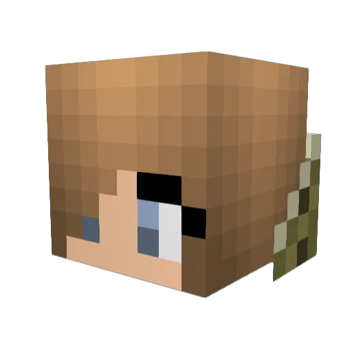 unknown747 Minecraft avatar head, 3D render