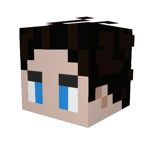 unknown_arrow Minecraft avatar head, 3D render
