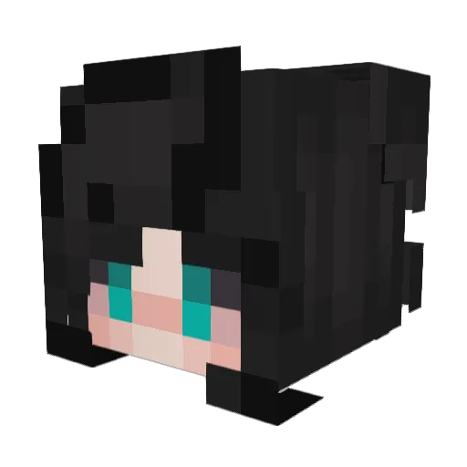 unknowngamer1230 Minecraft avatar head, 3D render