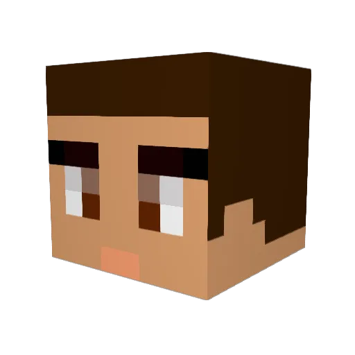 unknowngirl808 Minecraft avatar head, 3D render